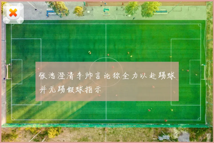 张浩澄清李帅言论称全力以赴踢球并无踢假球指示