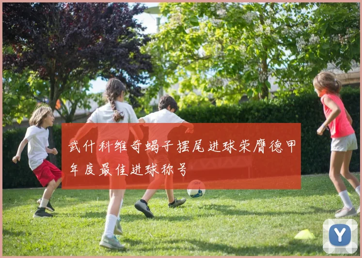 武什科维奇蝎子摆尾进球荣膺德甲年度最佳进球称号
