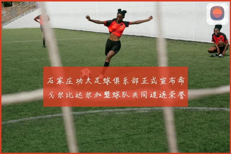 石家庄功夫足球俱乐部正式宣布希戈尔比达尔加盟球队共同追逐荣誉